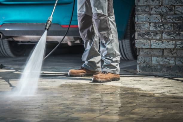 Best Patio and Deck Pressure Washing  in Locust Fork, AL